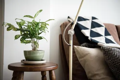 a plant on a table next to a couch at APT476 in Bangkok