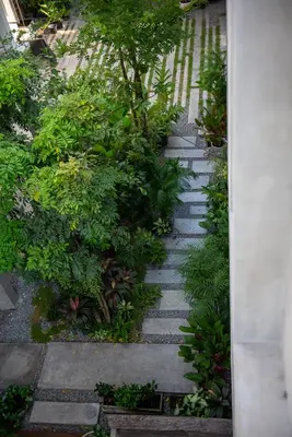 a garden with a stone pathway with a tree at APT476 in Bangkok