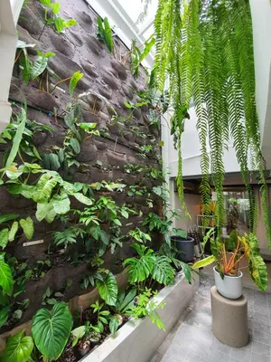 a wall with plants on it in a building at Roompini in Bangkok