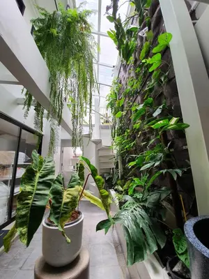 a room filled with lots of plants at Roompini in Bangkok