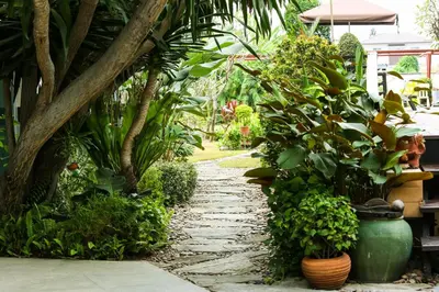 a path through a garden with plants at Bellevue Boutique Bangkok in Amphoe Phra Khanong