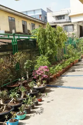 a row of potted plants on a sidewalk at Sitara Place Serviced Apartment & Hotel in Bangkok