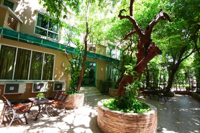 a building with two large trees in a courtyard at Calypzo Bangkok in Bangkok