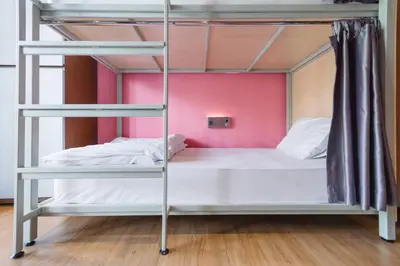 a bunk bed in a room with a pink wall at Siamaze Hostel in Bangkok