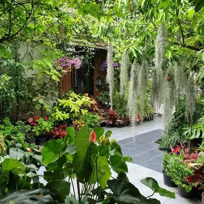 37 Nature House