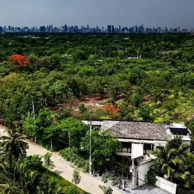 Coconut Lane Bangkok