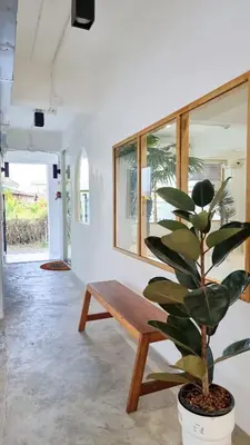 a wooden bench in a room with a plant at The zai Apartment in Ban Krathum Lom