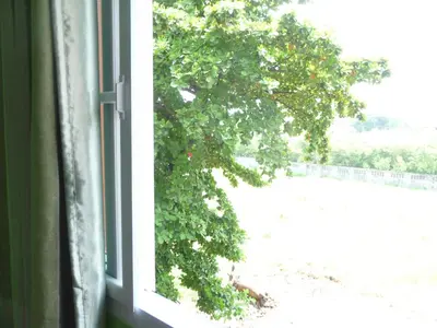 an open window with a view of a tree at Room For You in Bangkok