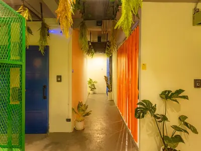 a hallway with potted plants and a blue door at Khao San Social Capsule Hostel in Bangkok