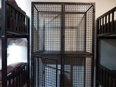 a bird cage in a room with a bed at Wild Ones Hostel in Bangkok
