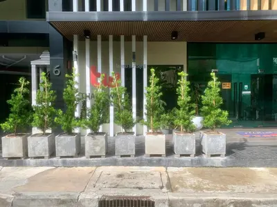 a row of potted plants in front of a building at Thana Wisut Hotel in Bangkok