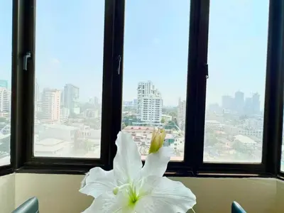 a white flower sitting in front of a window at SelfCheckIn Omni Tower Sukhumvit4 NaNa Asoke BTS MRT Hispeed WiFi Pool&Gym in Bangkok